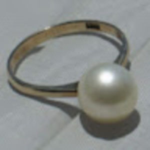 Meet your Posher, Shirley